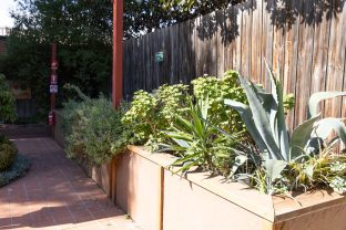 A garden is pictured.