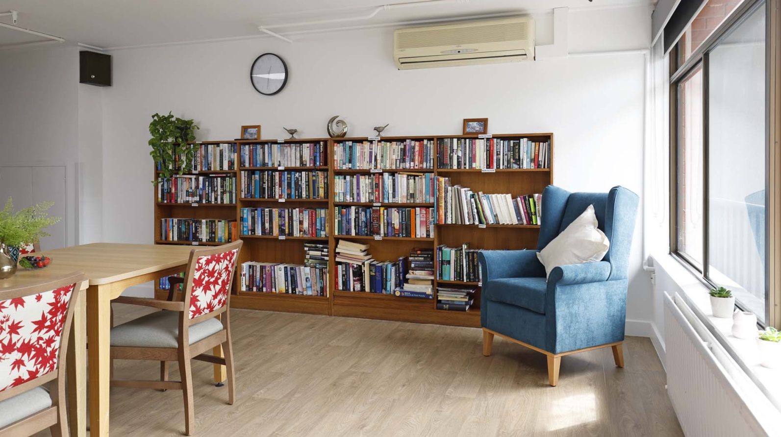 A library with huge collection of books and chair, a window is situated by the right side