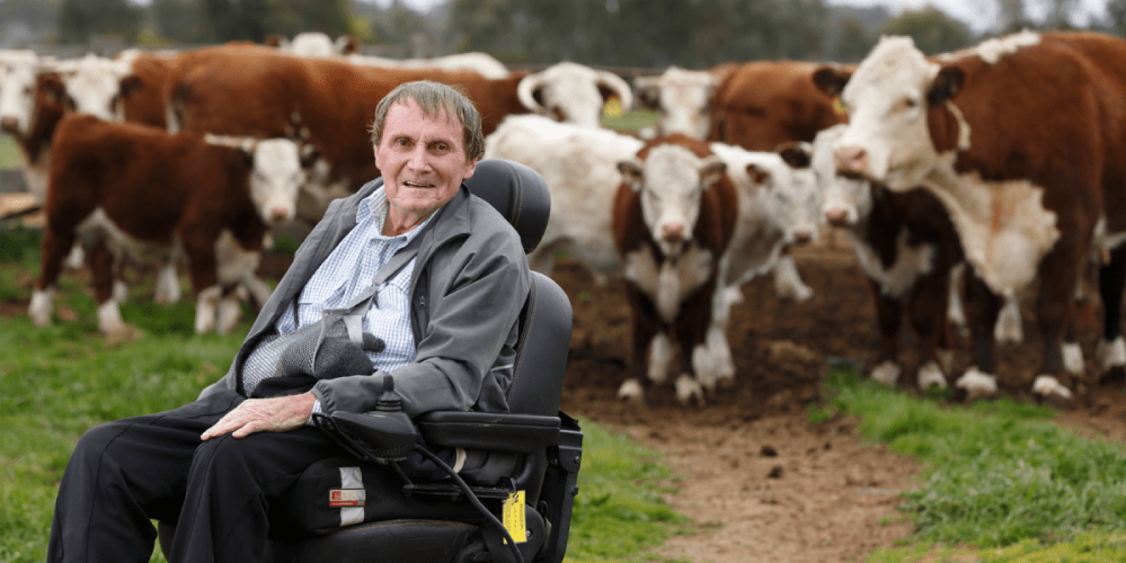 A person using a motorised wheelchair sits in a grassy paddock with a herd of cattle gathered in the background. The outdoor rural setting features green pasture and farm animals, creating a connection with the surrounding countryside.